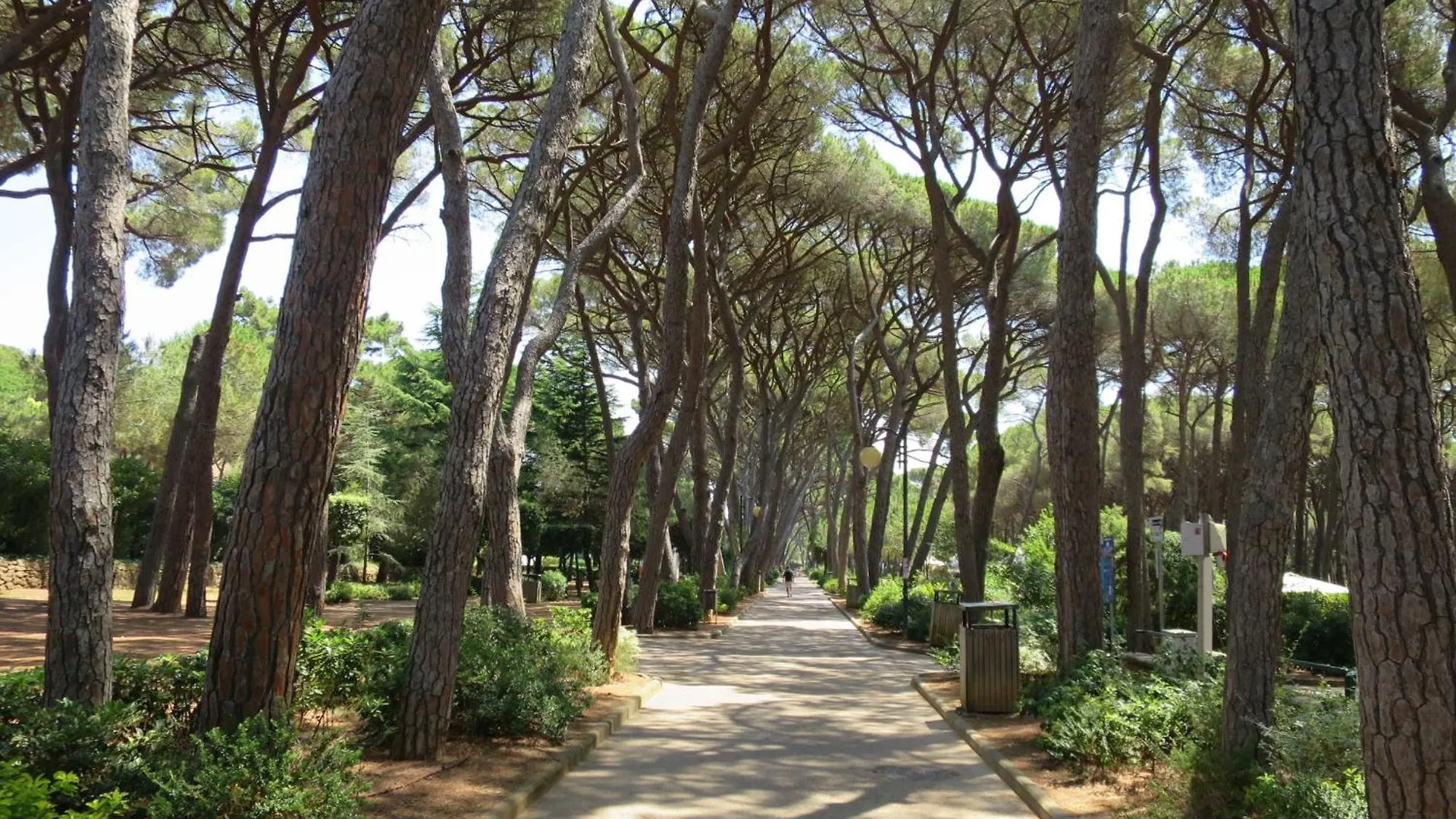 Villa Vistamare By Interhome Rosignano Marittimo Italien